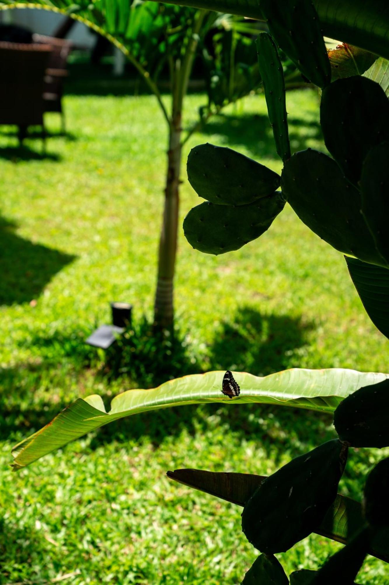 Koh Samui Resort & Restaurant Taling Ngam Beach Eksteriør bilde